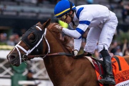 Locked Lead 11 Grade Stakes Winner