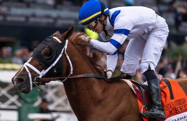 Locked Lead 11 Grade Stakes Winner