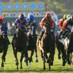 Lush lips can say goodbye to them in the competitive Del Mar Oaks