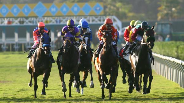 Lush lips can say goodbye to them in the competitive Del Mar Oaks