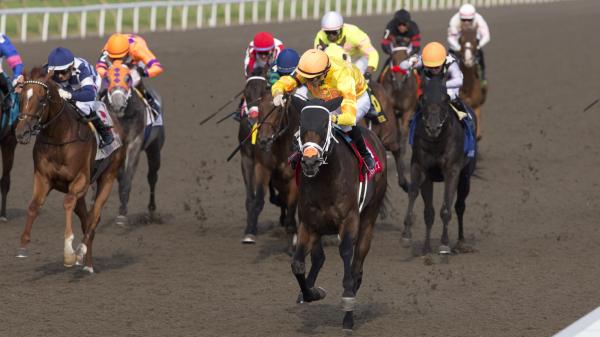 Mansetti is grand on the king's plate and takes the first leg of the Canadian Triple Crown