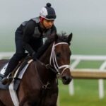 MindFrame is one of 52 stages of winners on the tab