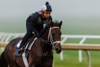 MindFrame is one of 52 stages of winners on the tab