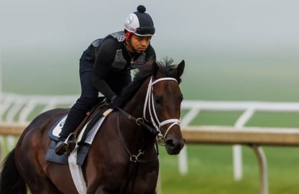 MindFrame is one of 52 stages of winners on the tab