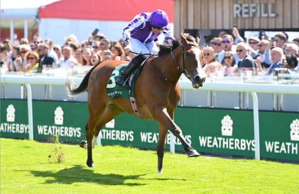 Minnie Hauk is a favorite in the Breeders' Cup Qualifiers