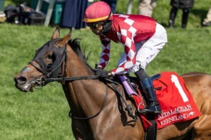 Nitrogen leads the winners of six grade stakes