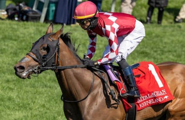 Nitrogen leads the winners of six grade stakes