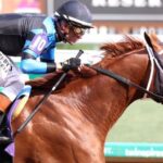 Noel's Weekend Winner: A Madden Opportunity at Travers Undercard