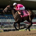 Noel's Weekend Winner: Classic Venture North of the Border