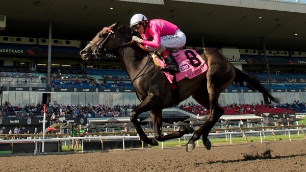 Noel's Weekend Winner: Classic Venture North of the Border