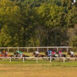 Noel's Weekend Winner: Huge Field, Potential Huge Profits in the Kentucky Downs