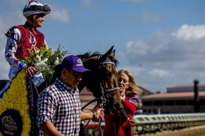 Retired NFL Starr Shawn Lynch Hill signs contract for 'n'Dale to win Toupedomna's interest