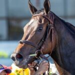 Scotland's Russie bullet highlights 46 rated winners