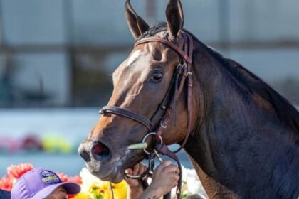 Scotland's Russie bullet highlights 46 rated winners