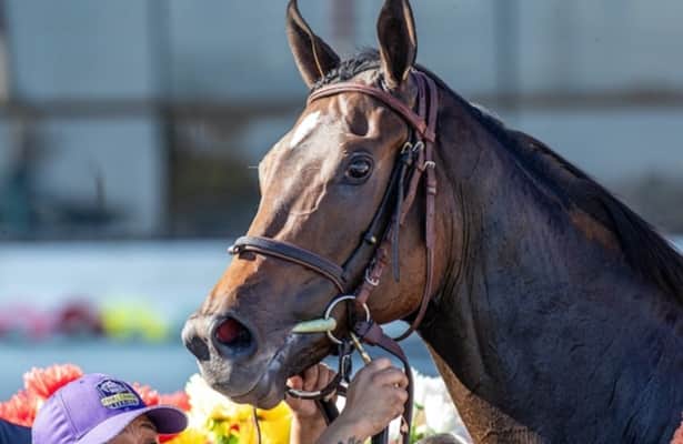 Scotland's Russie bullet highlights 46 rated winners