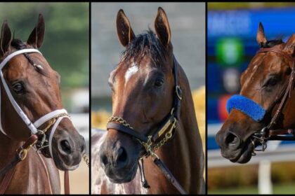 Slideshow: Meet Pacific Classic Stakes candidates for 2025