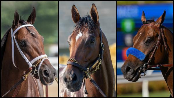 Slideshow: Meet Pacific Classic Stakes candidates for 2025