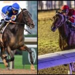 Slideshow: Meet the 2025 Travers Stakes Contenders