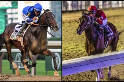 Slideshow: Meet the 2025 Travers Stakes Contenders
