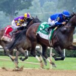Sovereign Rules Breeders Cup Classic Power Rankings, Travers are below