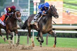 Sovereignty, Sierra Leone Top First 2025 Breeders' Cup Classic Contenders poll