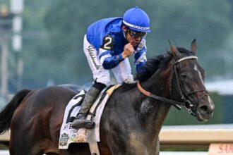 Sovereignty leads the first week of the Breeders' Cup classic rankings
