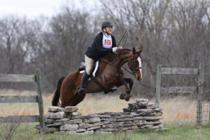 Success Story of Thoroughbred Aftercare Alliance: Kreutzer Finds the Perfect Partner at Lonesome Pine