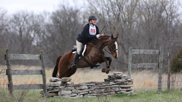 Success Story of Thoroughbred Aftercare Alliance: Kreutzer Finds the Perfect Partner at Lonesome Pine