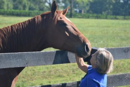 Success Story of Thoroughbred Aftercare Alliance: The story of courage extends far beyond the racetrack