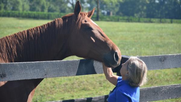 Success Story of Thoroughbred Aftercare Alliance: The story of courage extends far beyond the racetrack