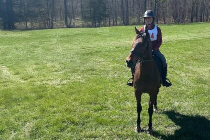 Success Story of the Thoroughbred Aftercare Alliance: Holy Moses, the Horse that Changed Everything