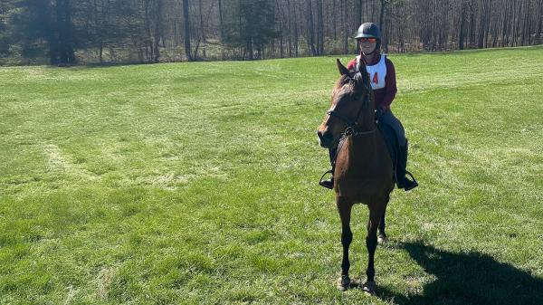 Success Story of the Thoroughbred Aftercare Alliance: Holy Moses, the Horse that Changed Everything