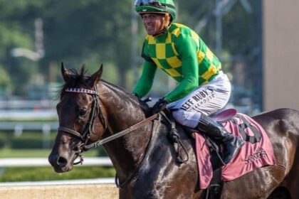 The 6th Grade Winner is in the tab