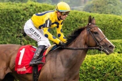 The 7th Grade Winner is in the tab