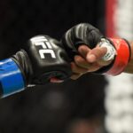 UFC glove touch