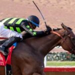 The beauty of the earthquake goes to the gate to go to wire at Clement L. Hirsch