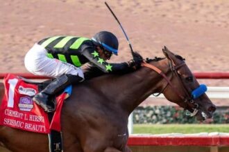 The beauty of the earthquake goes to the gate to go to wire at Clement L. Hirsch