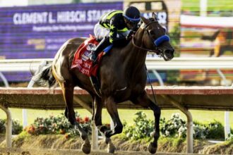 The beauty of the earthquake shakes the Dissaf division with Clement Hirsch wins at Delmar