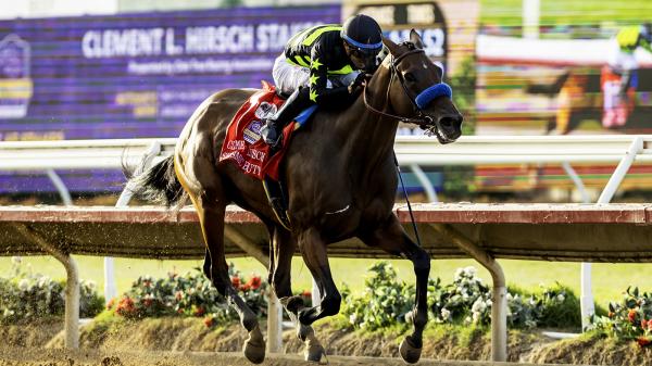 The beauty of the earthquake shakes the Dissaf division with Clement Hirsch wins at Delmar