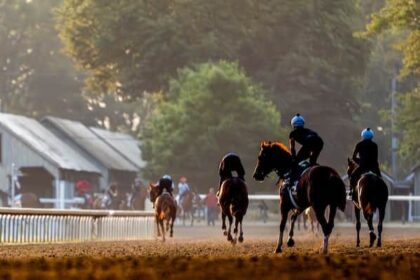 The fifth grade winner is on the tab