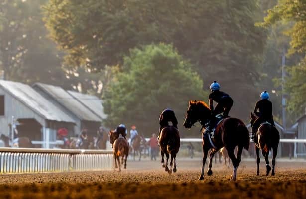 The fifth grade winner is on the tab