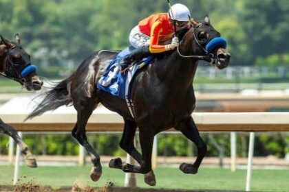 The game leads 12 stages of winners in the tab