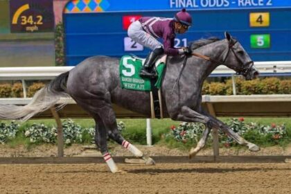 The sweet Aztecs dominate the small fields of Rancho Bernardo