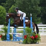 Thoroughbred Transformation Diary: Manage your ups and downs with a focus on the future