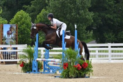 Thoroughbred Transformation Diary: Manage your ups and downs with a focus on the future