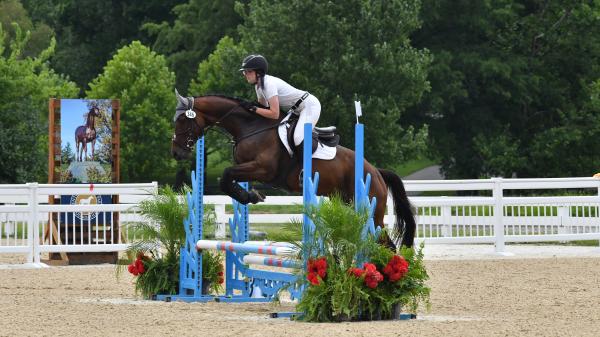 Thoroughbred Transformation Diary: Manage your ups and downs with a focus on the future