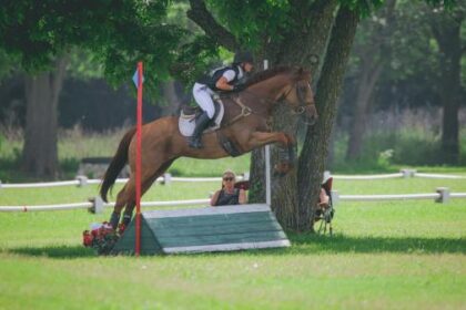 Thoroughbred Transformation Diary: Salesman is a true "hearthorse"