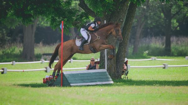 Thoroughbred Transformation Diary: Salesman is a true "hearthorse"