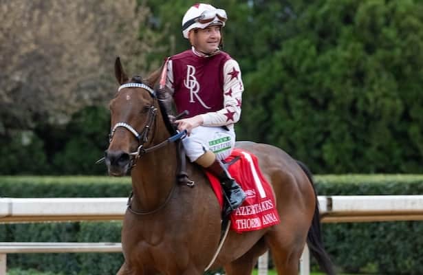 Thorpedo Anna is one of the 47th Grade winners at TAB