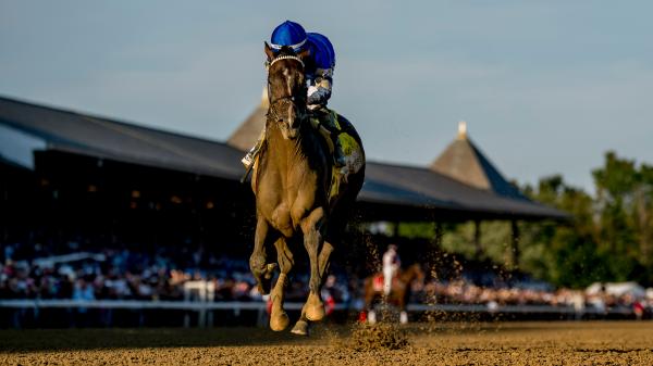 Travers romp in the classic power rankings of the Sovereign Cement Status Breeders Cup